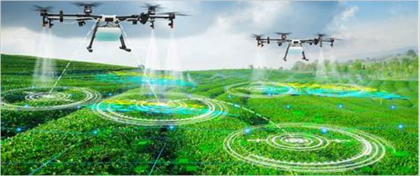 drones in agriculture: pest control from the sky