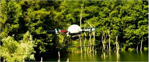 exploring the use of drones in forestry and land management
