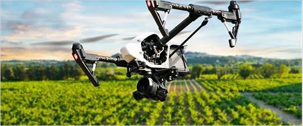 the benefits of using drones in precision viticulture
